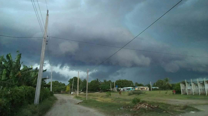 Reposición de siembra tras azote de tormenta tropical severa en Puerto Padre