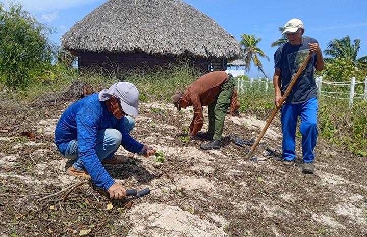 ACN - Cuba